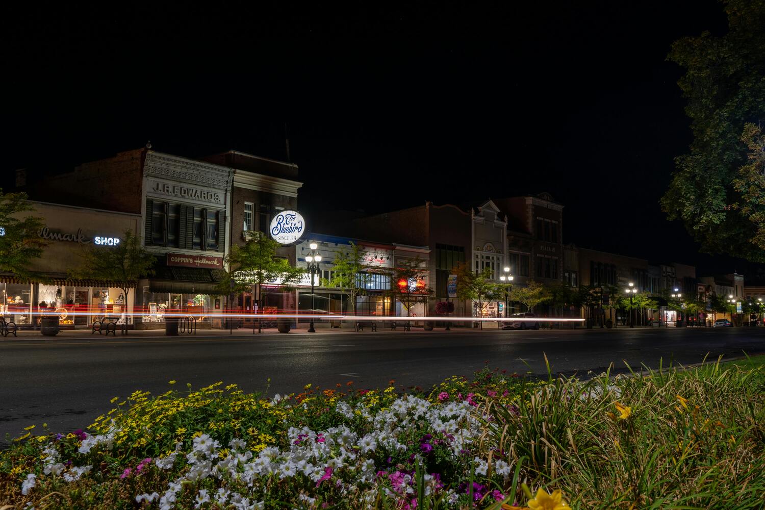 Alternative Healthcare Logan